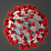 Coronavirus picture